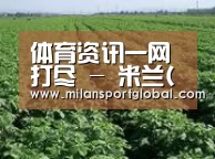 种植基地五
