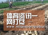 种植基地八