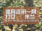 种植基地七
