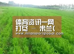 种植基地四