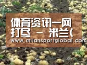 种植基地八(图1)