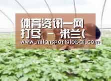 种植基地三