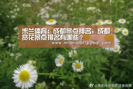 米兰体育:成都景点排名,成都赏花景点排名有哪些?(图3) 米兰体育