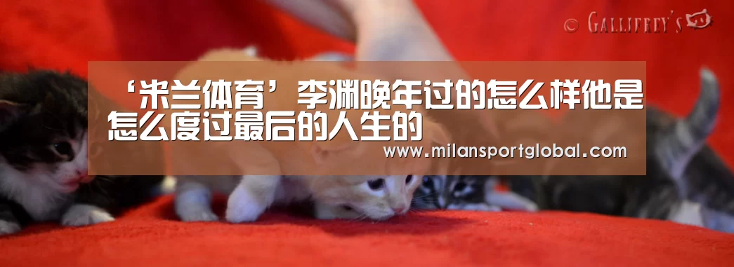 ‘米兰体育’李渊晚年过的怎么样他是怎么度过最后的人生的(图3) 米兰下载